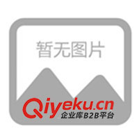 電子拉力機、電子拉力試驗機(圖)